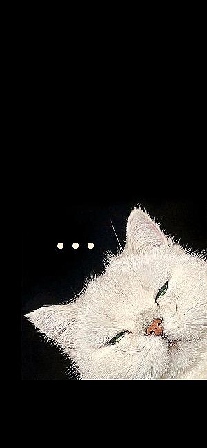 Profile photo for Liya Chusna