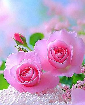 Profile photo for Léa MALAN