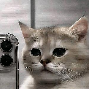 Profile photo for haidar ganiya fajri