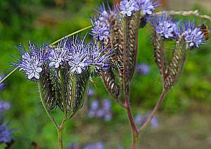 Profile photo for Emily Warriner