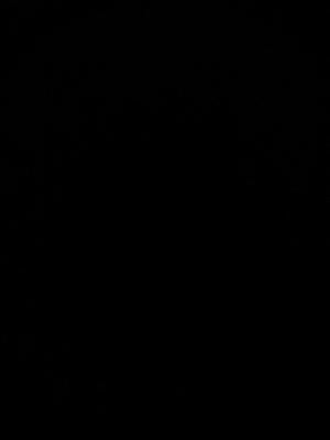 Profile photo for Connor Anderson