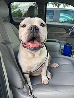 Profile photo for John M Cortinas