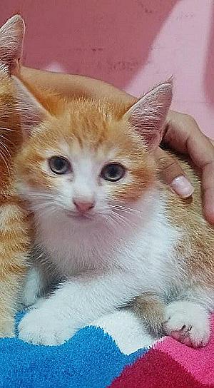 Profile photo for Kayla M