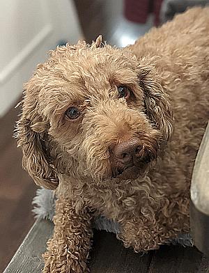 Profile photo for Emily Moon