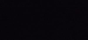 Profile photo for Charles Sorrells Jr