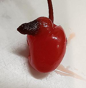 Profile photo for Darian Johnson