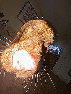 Profile photo for Ian Leary