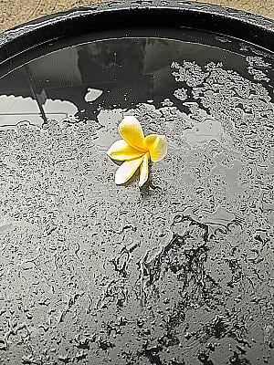 Profile photo for Putri Dwi Yanti