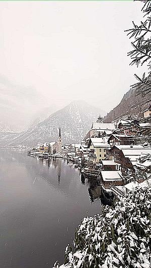 Profile photo for Senorita Chaaa