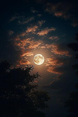 Profile photo for Amina Musa Tarfa