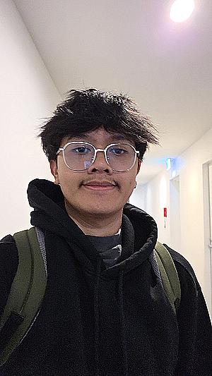 Profile photo for Ariobimo Nugroho