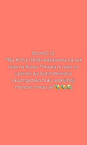 Profile photo for Shamsi masoud kazumali