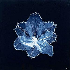 Profile photo for Annabelle Bodden