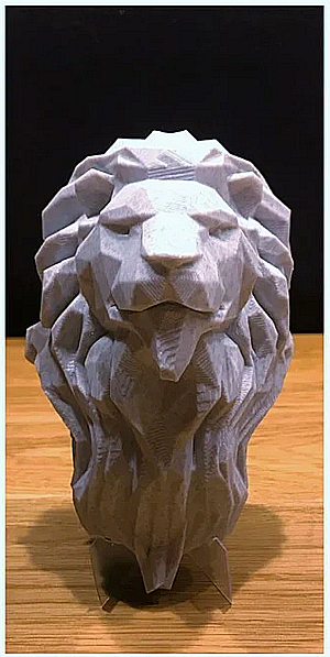 Profile photo for Austin Ortega