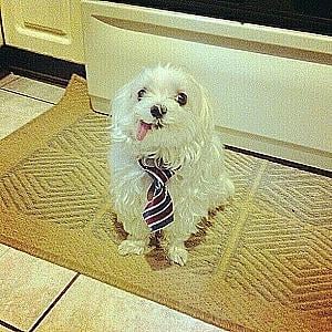 Profile photo for Cruz Latrace