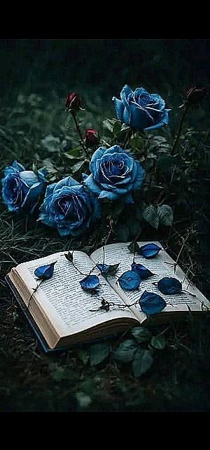 Profile photo for Eman Hashim