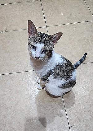 Profile photo for Leah Daku