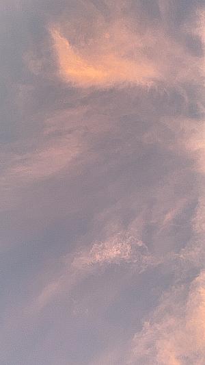 Profile photo for Joni Petoe