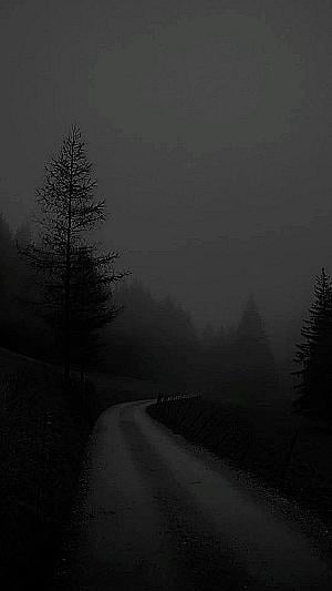 Profile photo for Florecita Adabella