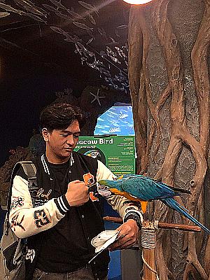 Profile photo for Haidar Billfaqqih Sulistiyadi