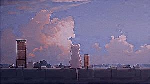 Profile photo for maryam mohammed