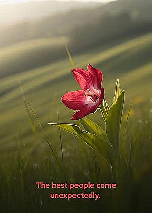 Profile photo for Megha Satyanarayan Soni