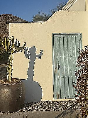 Profile photo for Rozina Hirani