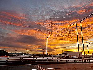 Profile photo for Suah Kim