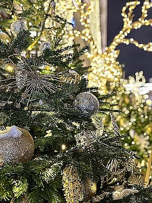 Profile photo for Ingrid Mit