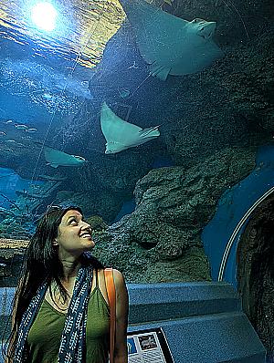 Profile photo for Roja Francis