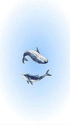 Profile photo for a zahra