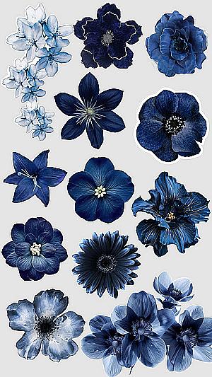 Profile photo for Layal Arif