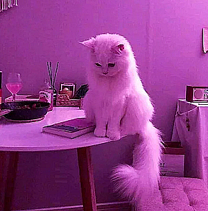 Profile photo for matilda kawira kithinji