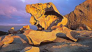 Profile photo for Luke Walkers