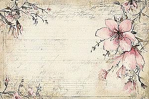 Profile photo for Doaa Gad