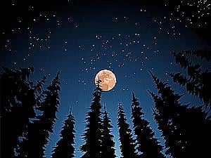 Profile photo for ANGELIKA moon