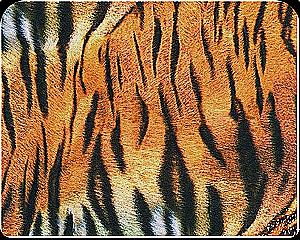 Profile photo for Chico Curtis EL