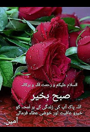 Profile photo for IBRAHIM MOHAMMED