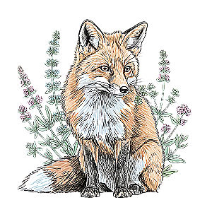 Profile photo for Maria Veronica Martin