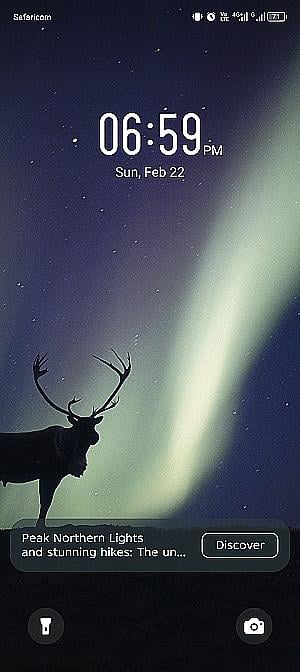 Profile photo for Royal Danito Mgy