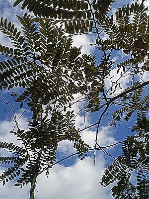 Profile photo for Menna Ahmed