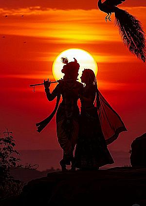 Profile photo for Savita singh