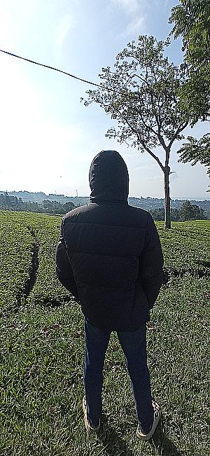 Profile photo for Raushan Rahbar
