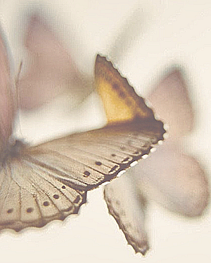 Profile photo for Martina Meli