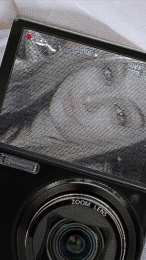 Profile photo for Amanda York