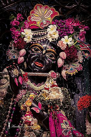 Profile photo for Nilotpala Sahoo