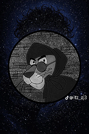 Profile photo for Seleem Ahmed