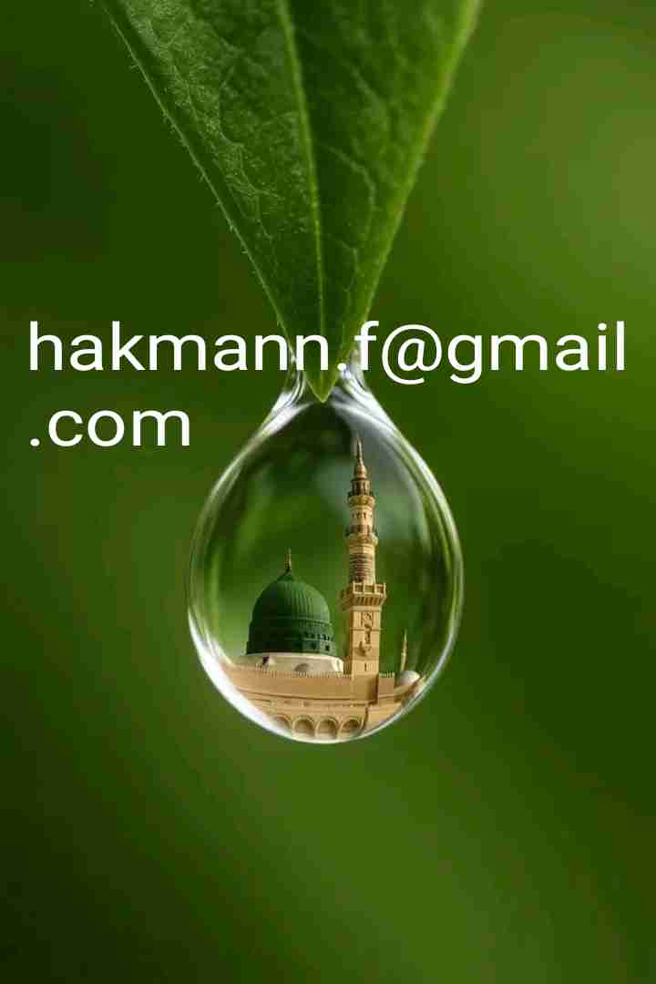 Profile photo for Hakeem Fazill