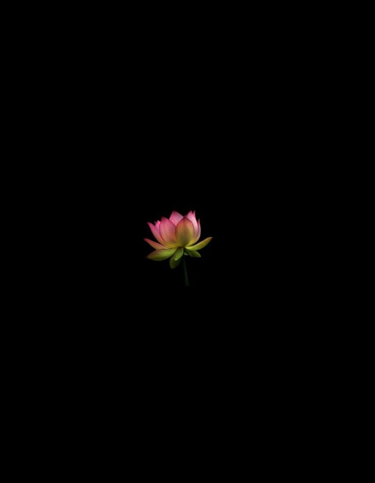 Profile photo for Princy Vishwakarma