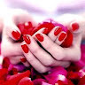Profile photo for Amna Hussain